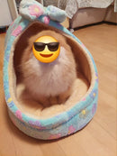 Casa para cães de estimação, macia e aconchegante, cama de dormir para cães pequenos e médios, dobrável, removível, ninho de cachorro, canil portátil, suprimentos para animais de estimação