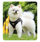 Conjunto de arnês e coleira para cães de estimação, segurança reflexiva, para cães pequenos e médios, colete, cinta peitoral para cachorros, acessórios para animais de estimação