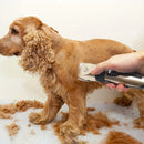 Kit Aparador de Pêlos Elétrico Pet Precision Clippers, Perfeito para Higiene Profissional em Casa, Ideal para Cães e Gatos